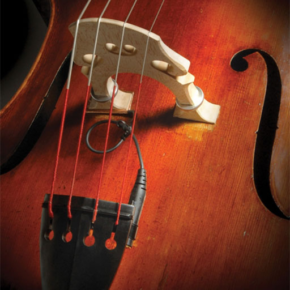 Realist WoodTone Piezo Transducer