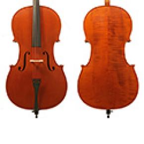 4/4 SIZE CELLO ONLY PROFESSIONAL
