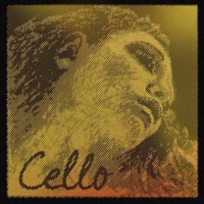 EVAH PIRAZZI GOLD CELLO D (STEEL/CHROME) 4/4